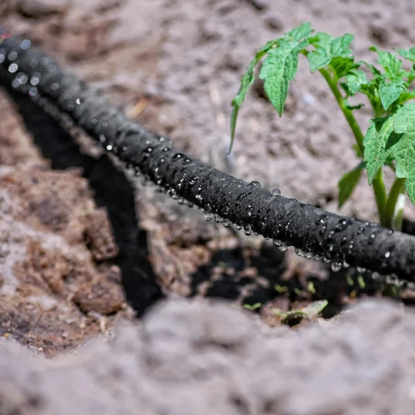 Kvapkový zavlažovací systém