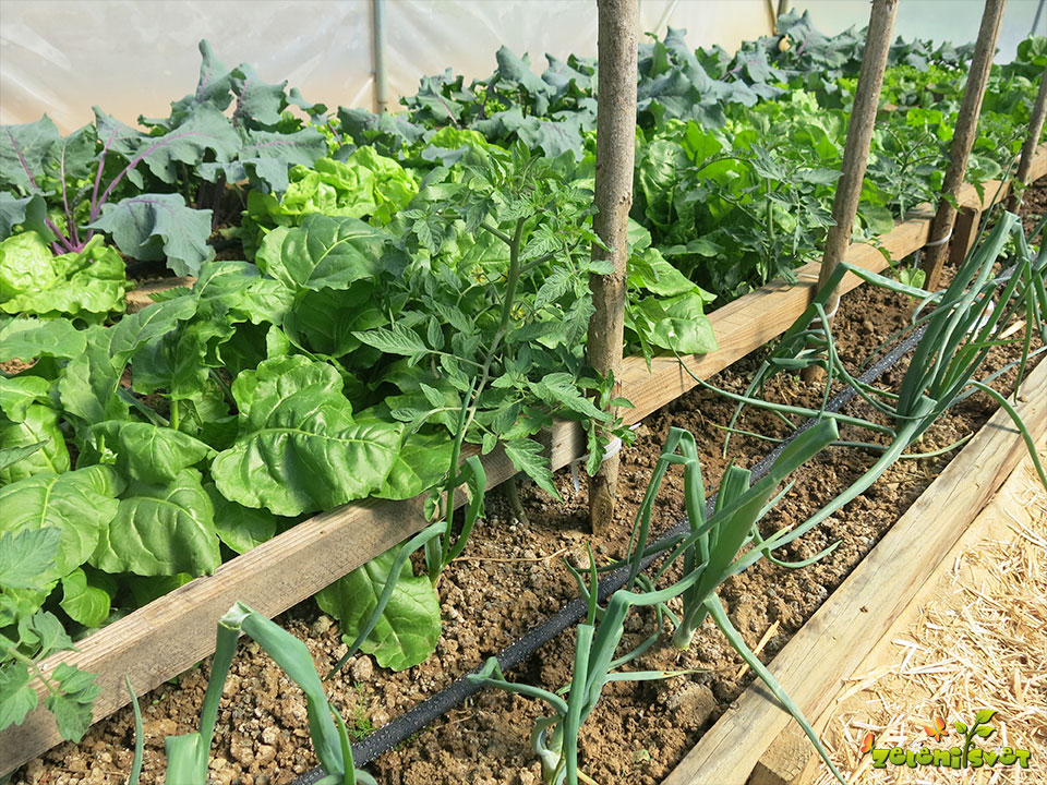 Iveta Kučová - Som spokojná, je presne taká ako na obrázku a inštalácia je jednoduchá.