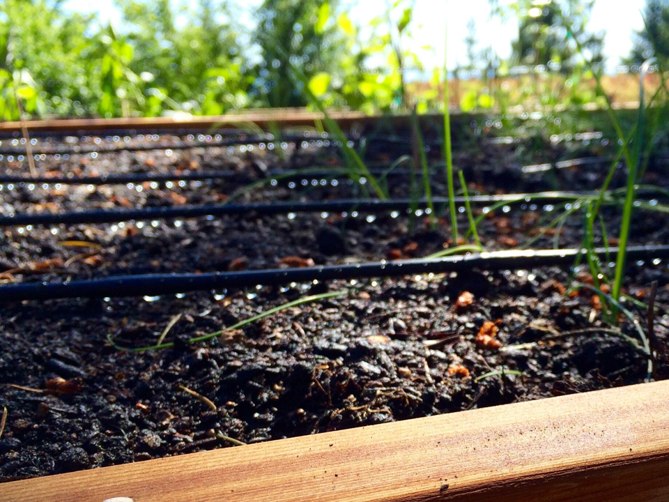 Monika Vaceková - Zavlažovacia hadica plní svoj účel a veľmi mi uľahčuje prácu v záhrade. Som s nákupom veľmi spokojná.