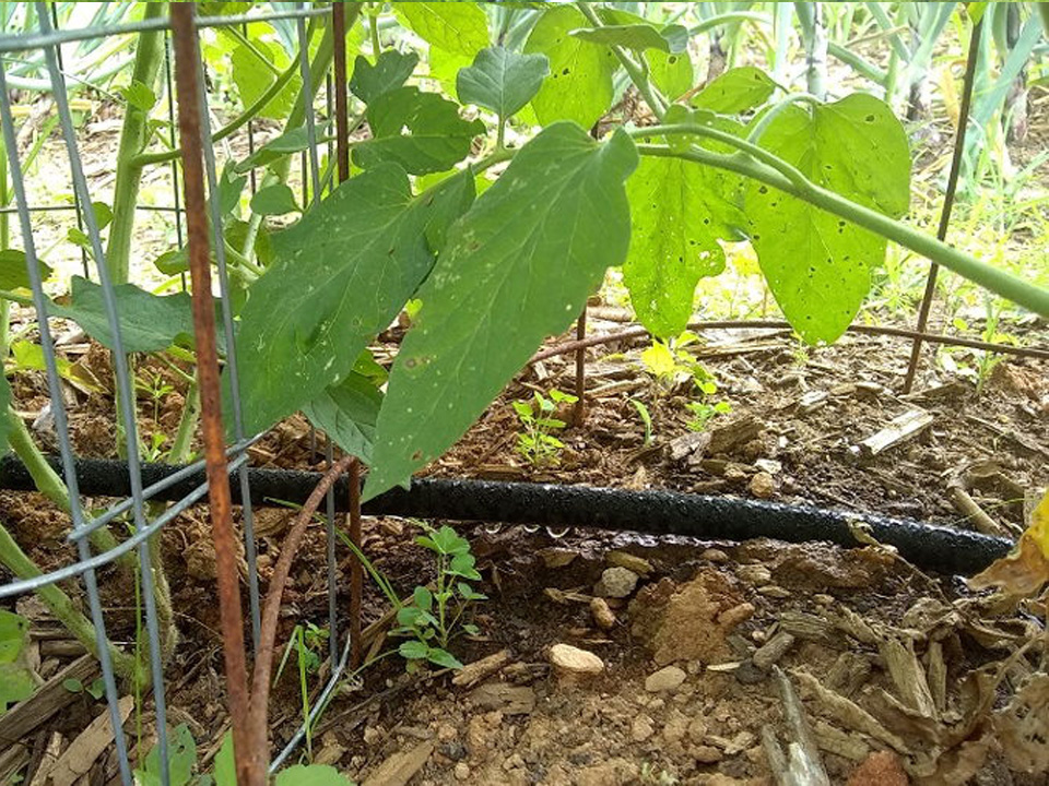 Simona Rybáková - Super, odporúčam nákup!